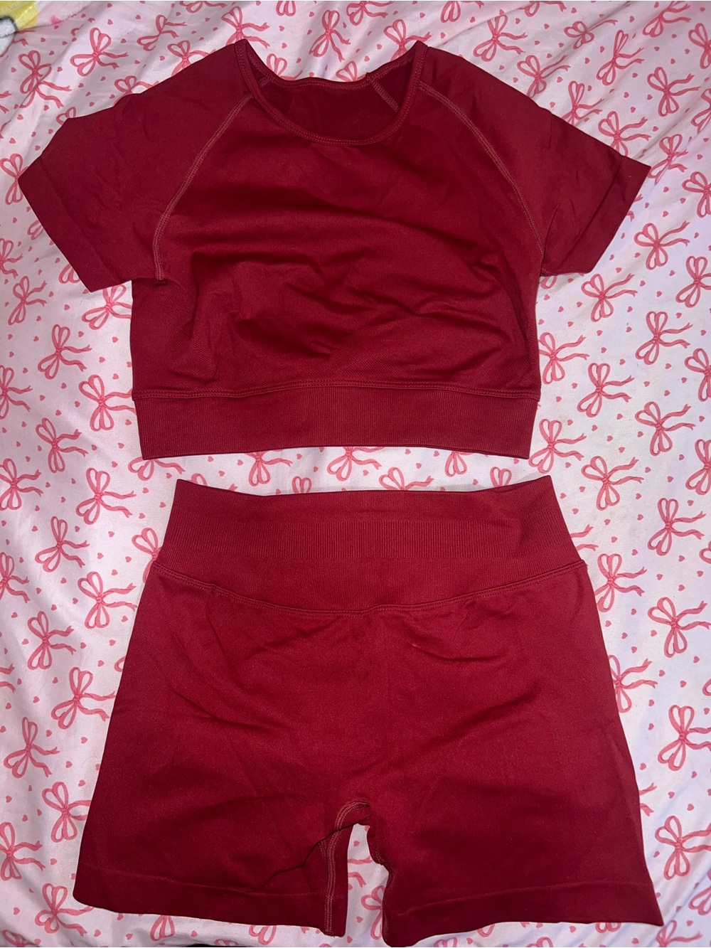 Fitness Fashioness Burgundy Gym Set